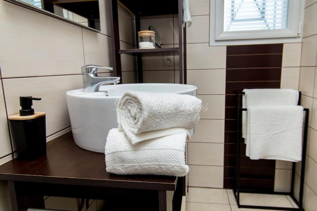 Ravissante Maison Cosy 4* Biscarrosse Proche Lac エクステリア 写真